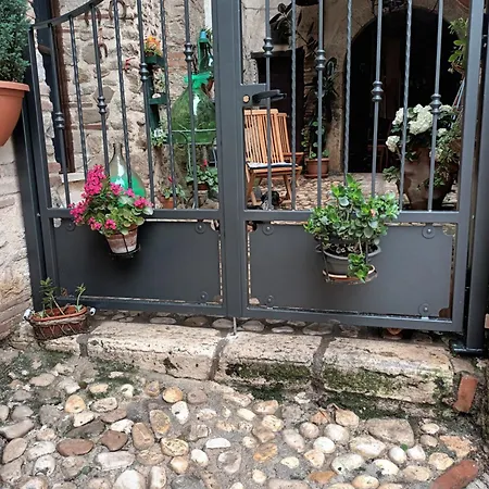 Apartmán Al Cantinone Toffia