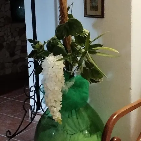 Al Cantinone * Toffia